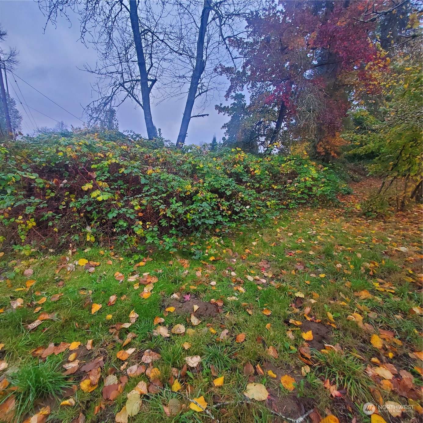 Olympia, WA 98501,801 Chambers