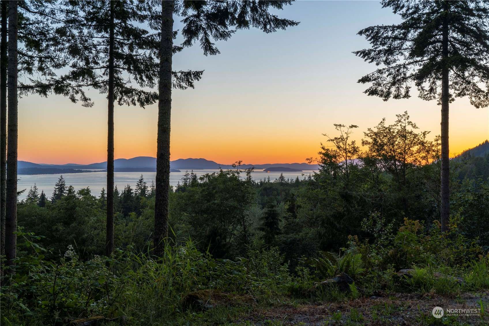Bow, WA 98232,15802 Mountain DR