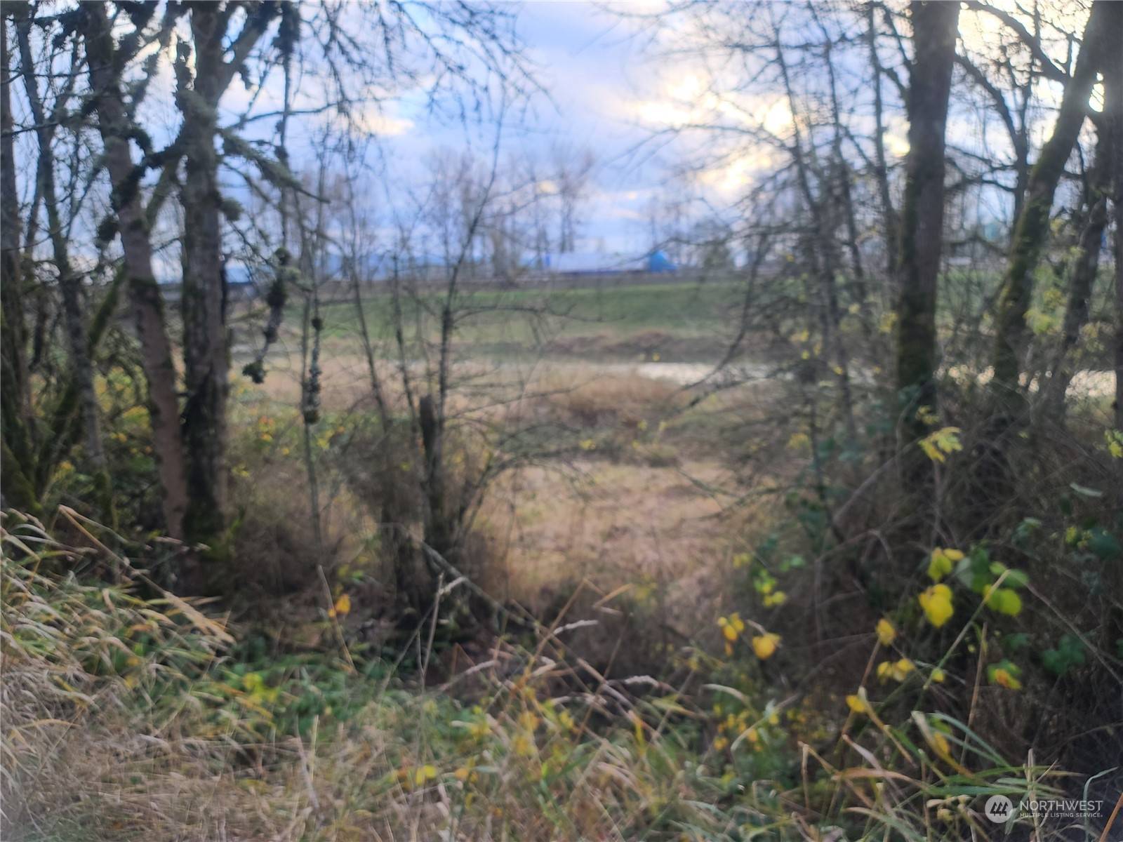 Kelso, WA 98626,1919 next to Grade ST