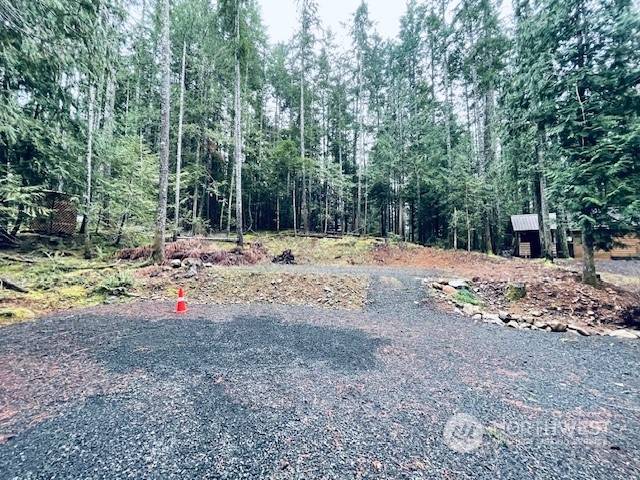 Hoodsport, WA 98548,131 N Staircase DR
