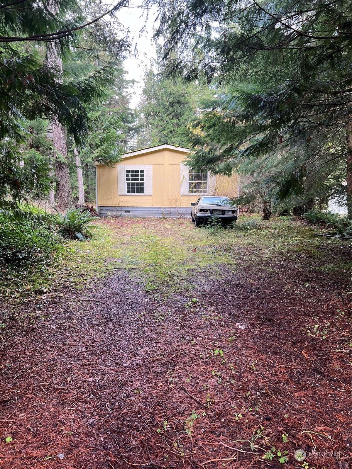 Maple Falls, WA 98266,901 Ruby Valley CT