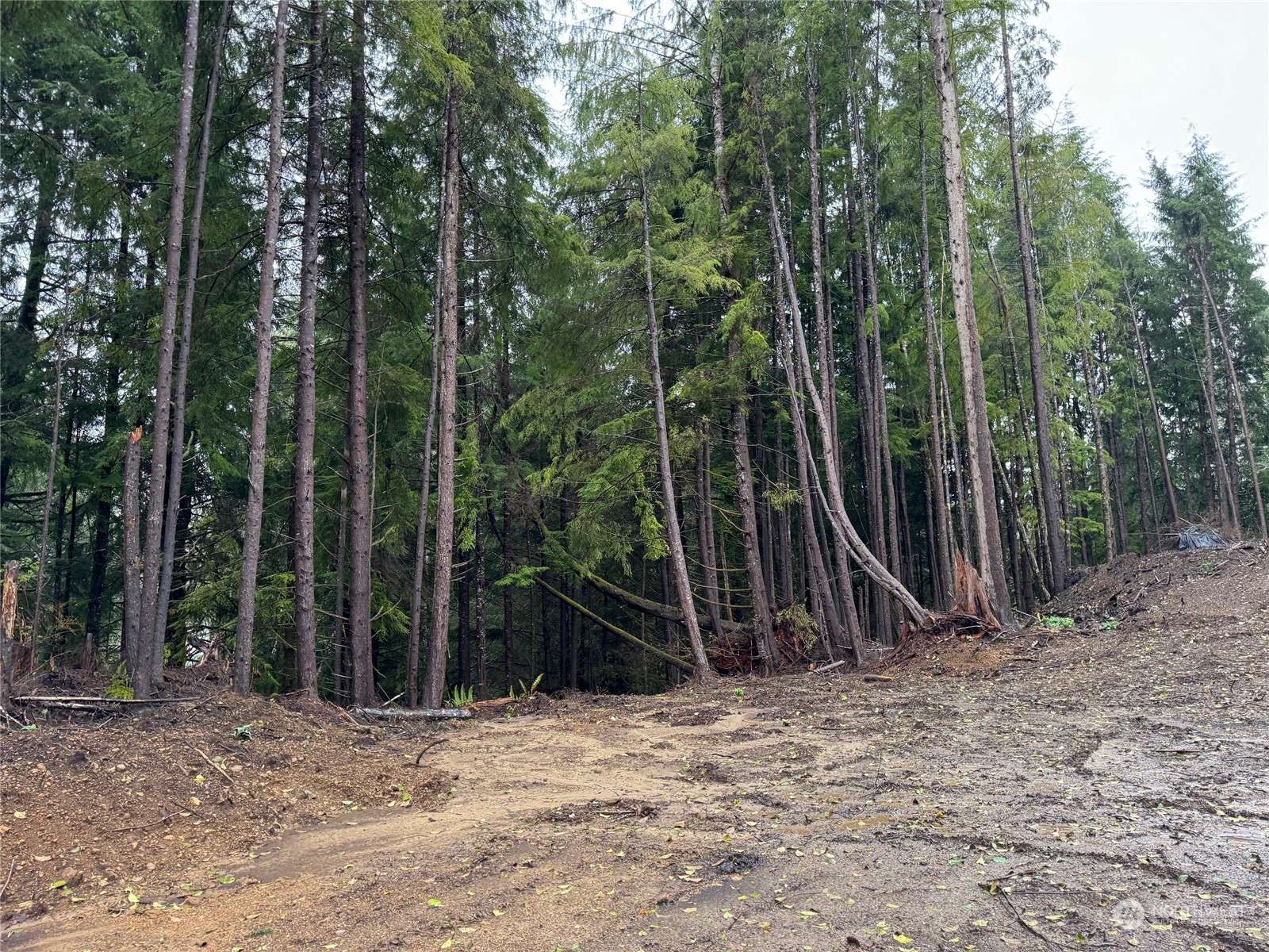 Sekiu, WA 98381,554 Eagle Point RD
