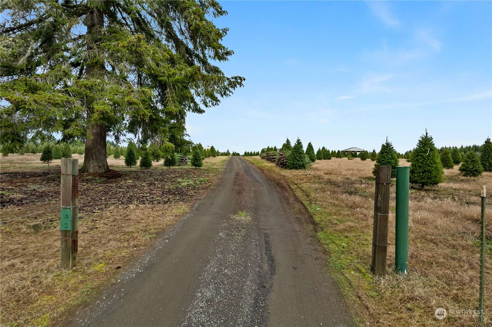 Shelton, WA 98584,0 Lot 1 Dusty LN SE