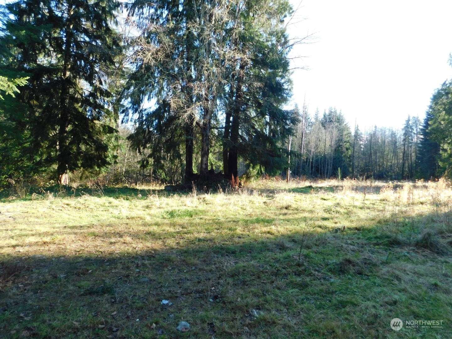 Arlington, WA 98223,10218 169th PL NE