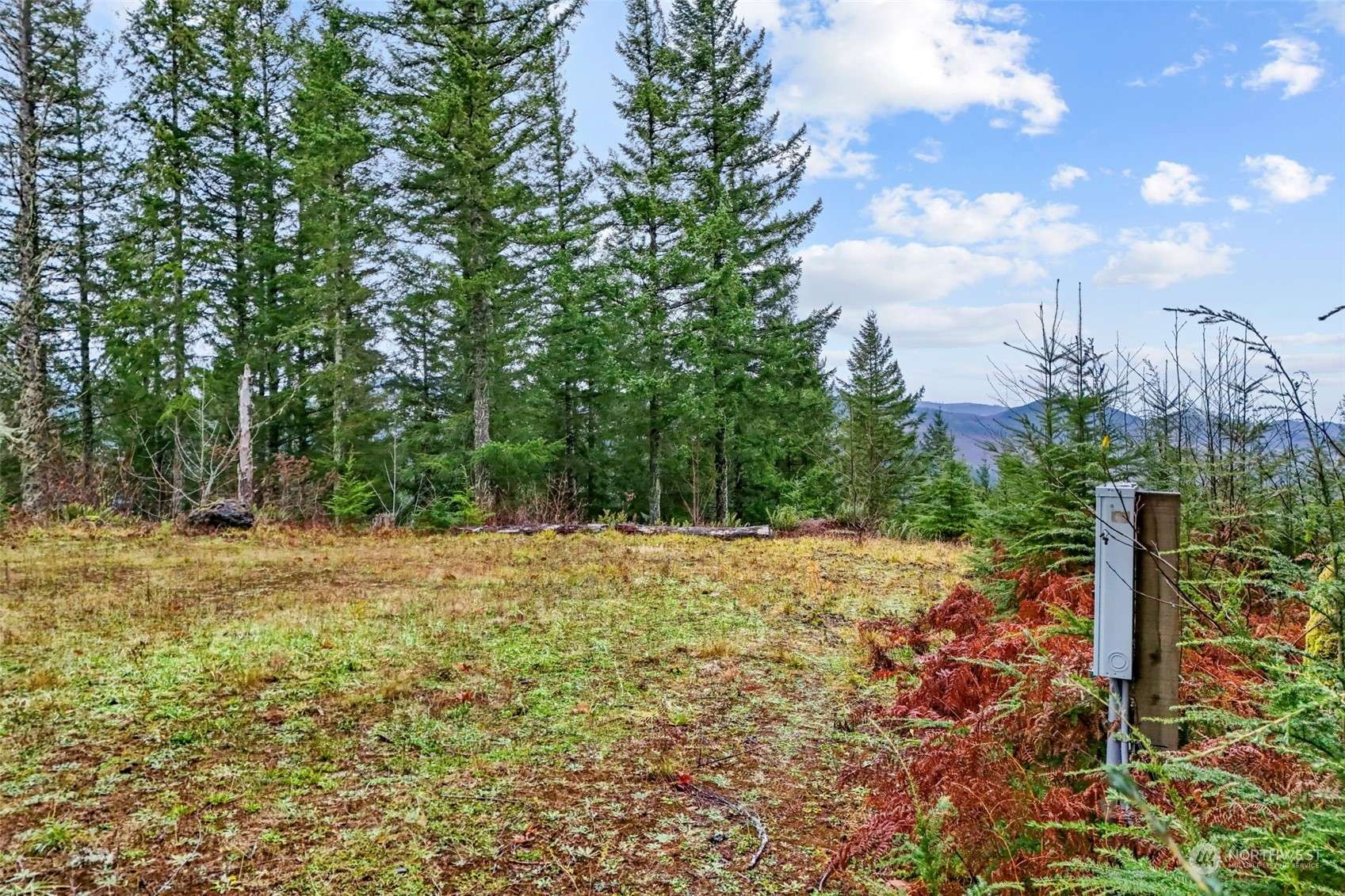 Mossyrock, WA 98564,143 Meadow Ridge WAY