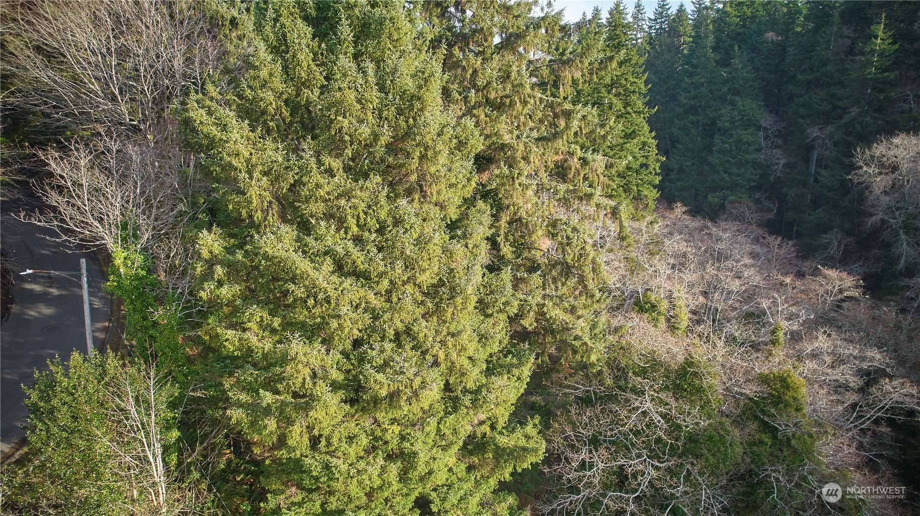 Aberdeen, WA 98520,0 Blk 4 Lots 20-22 Pioneer BLVD