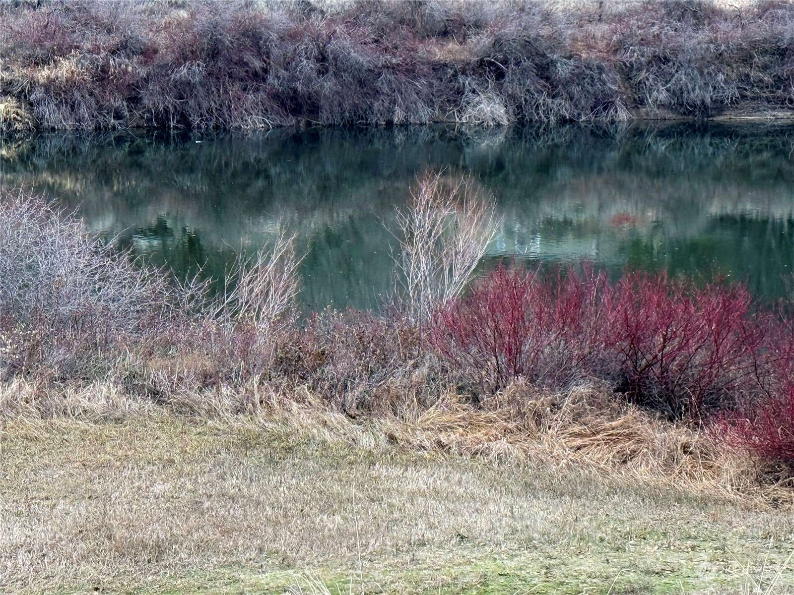 Omak, WA 98841,5 River Overlook