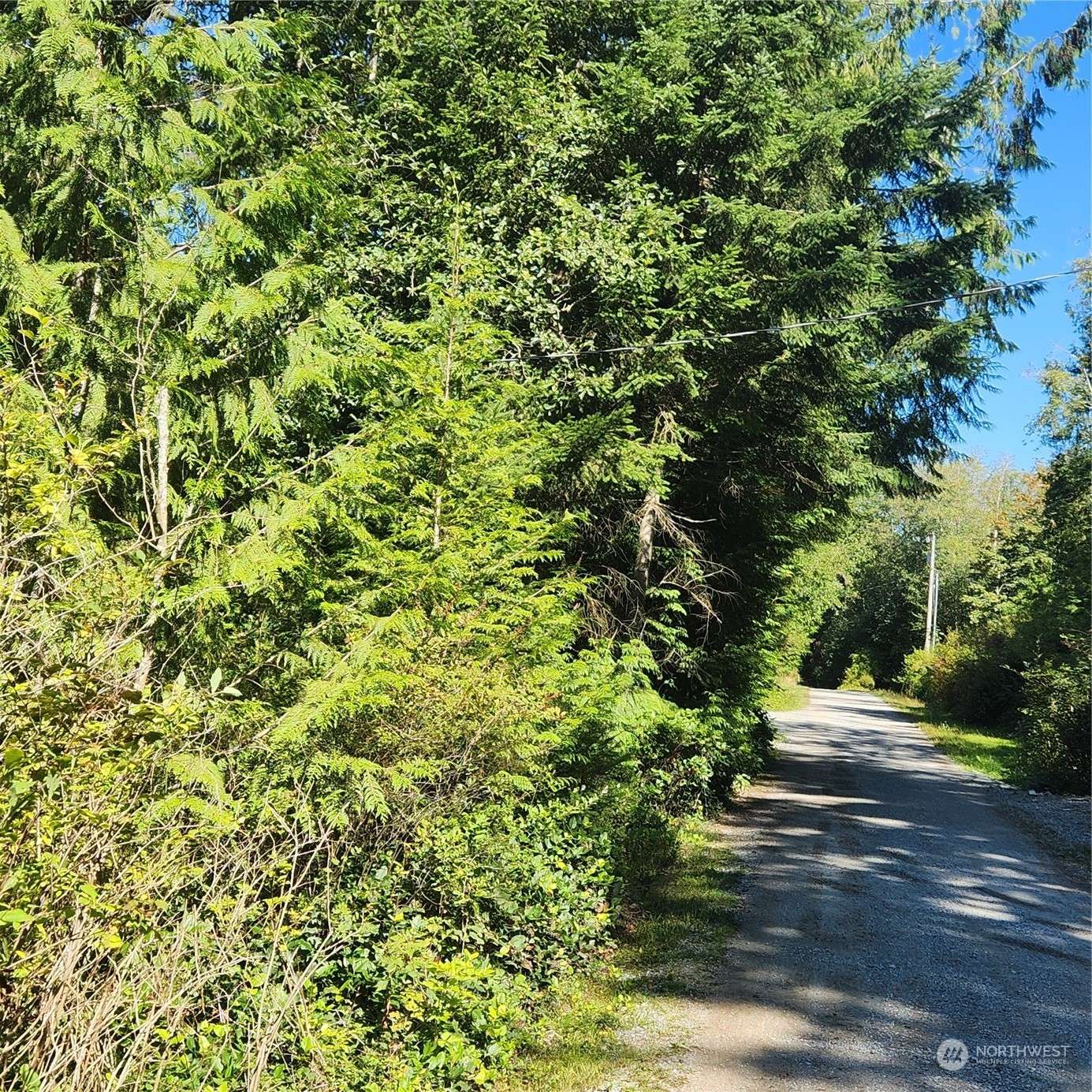 Camano Island, WA 98282,355 Windsun WAY