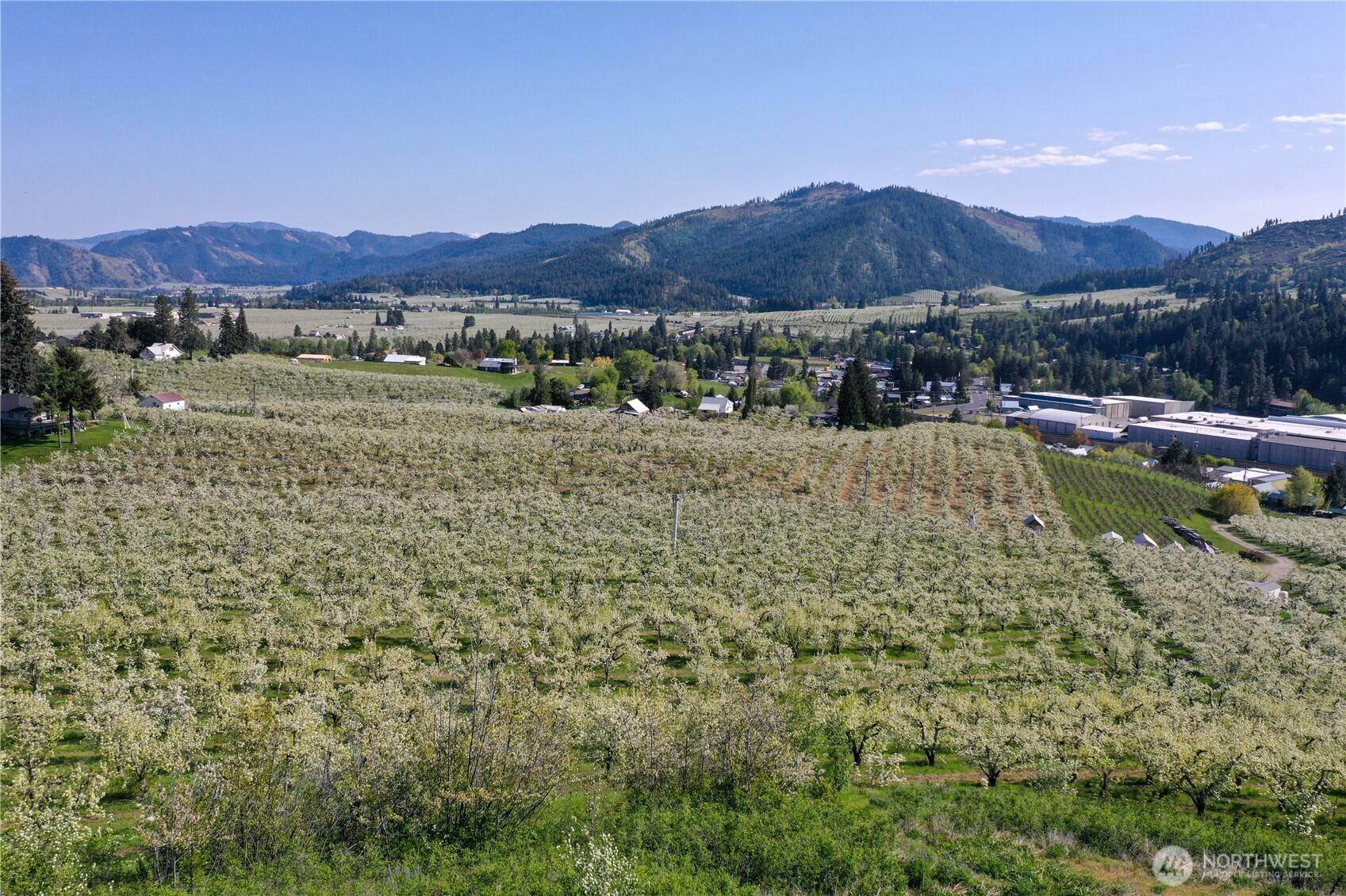 Peshastin, WA 98847,0 Ludwig Hill Rd