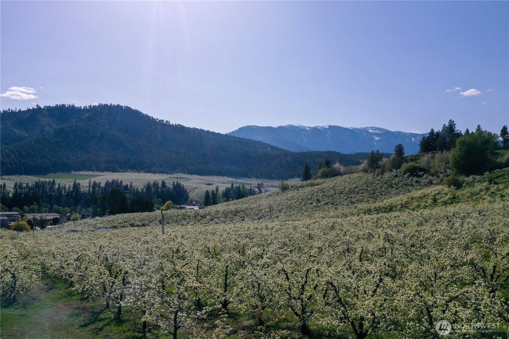 Peshastin, WA 98847,0 Ludwig Hill Rd