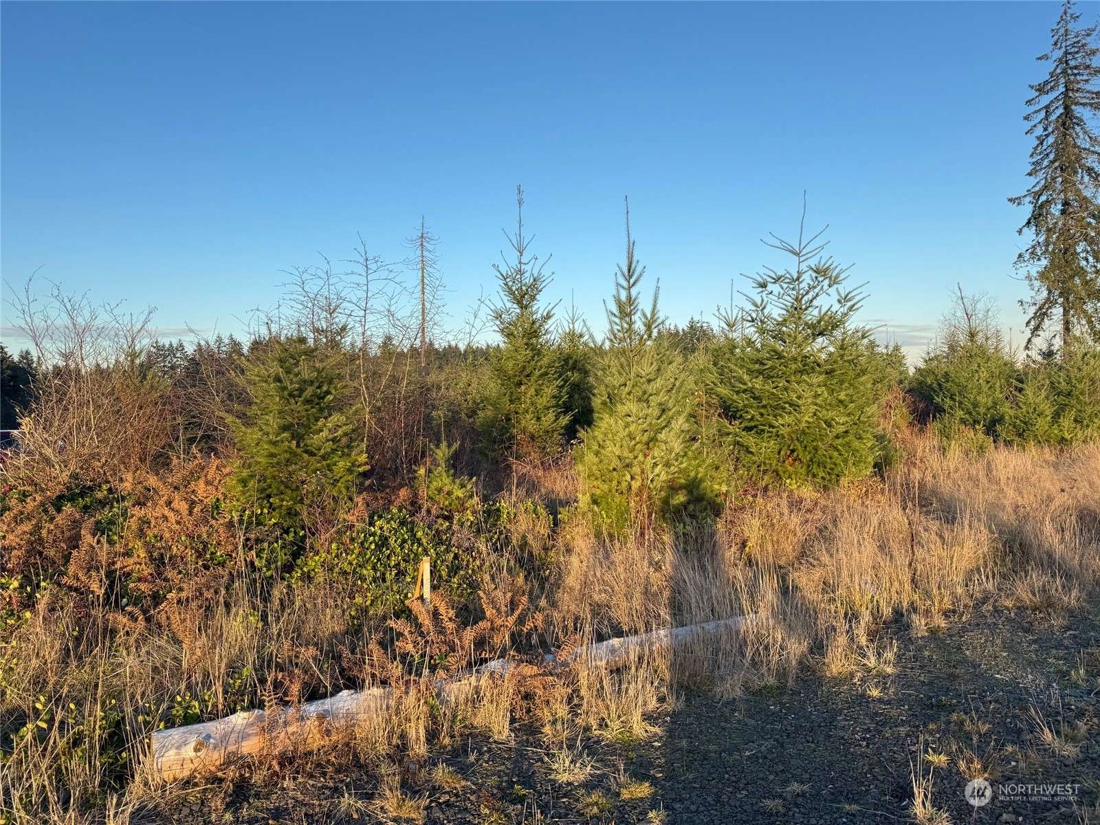 Winlock, WA 98565,0 Lot 1 Hawkins RD