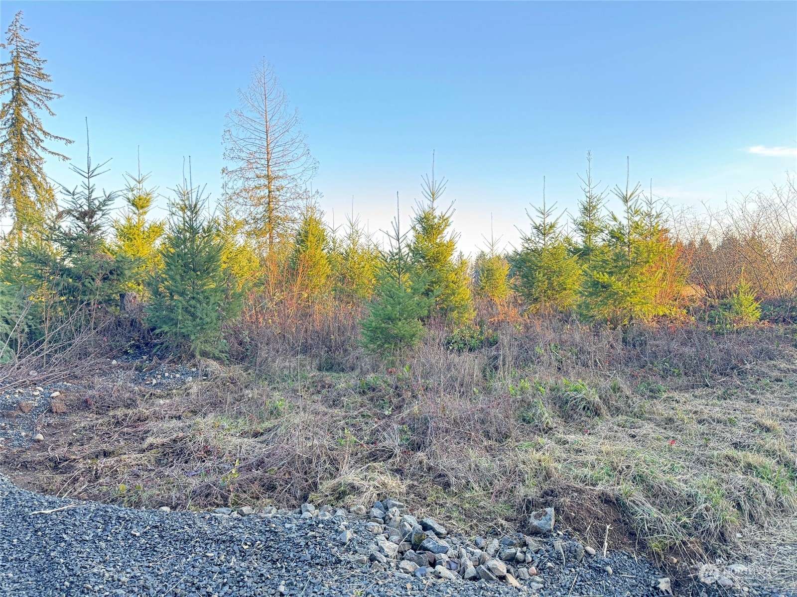 Winlock, WA 98565,0 Lot 1 Hawkins RD