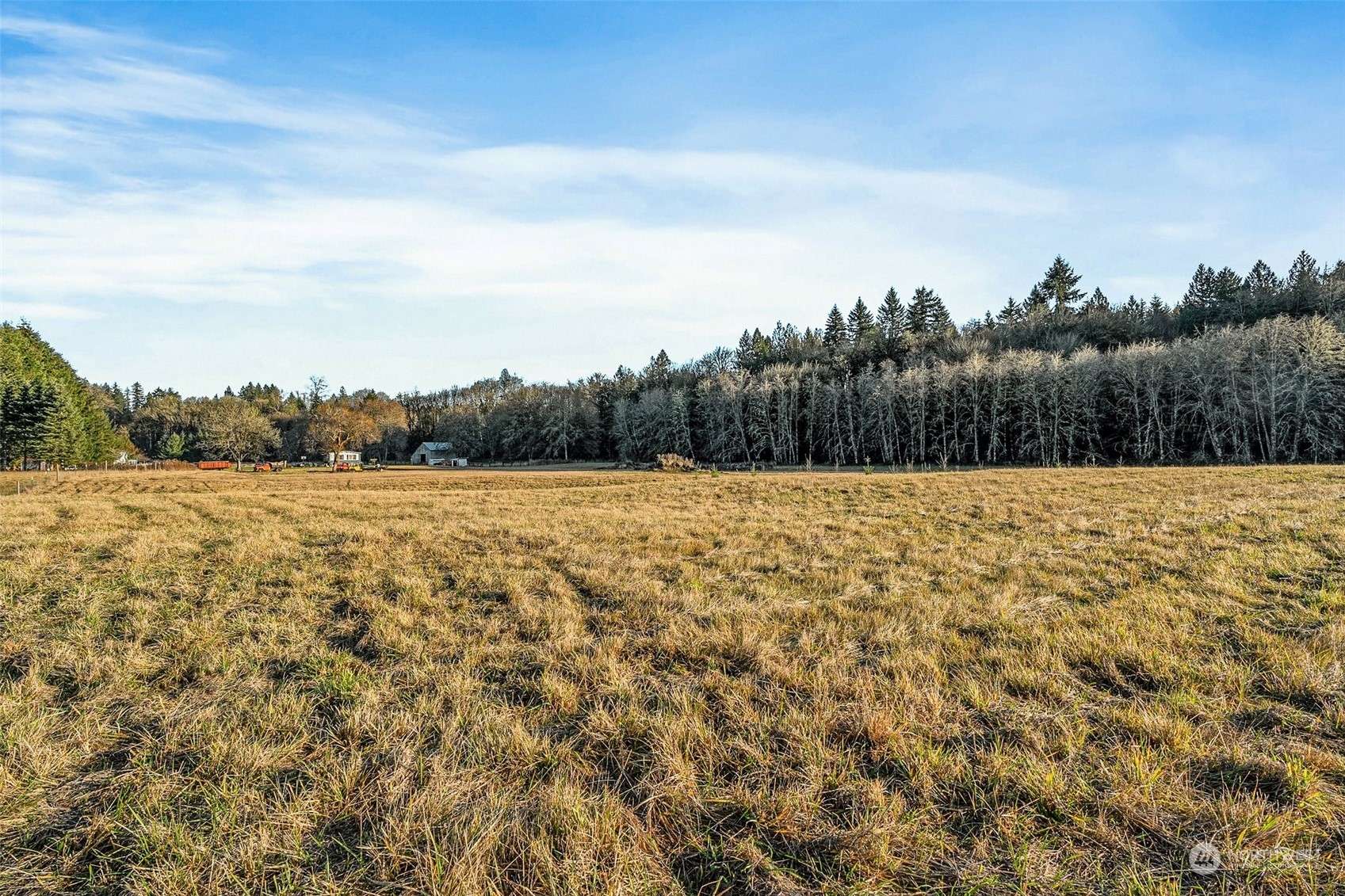 Toledo, WA 98591,0 Collins RD