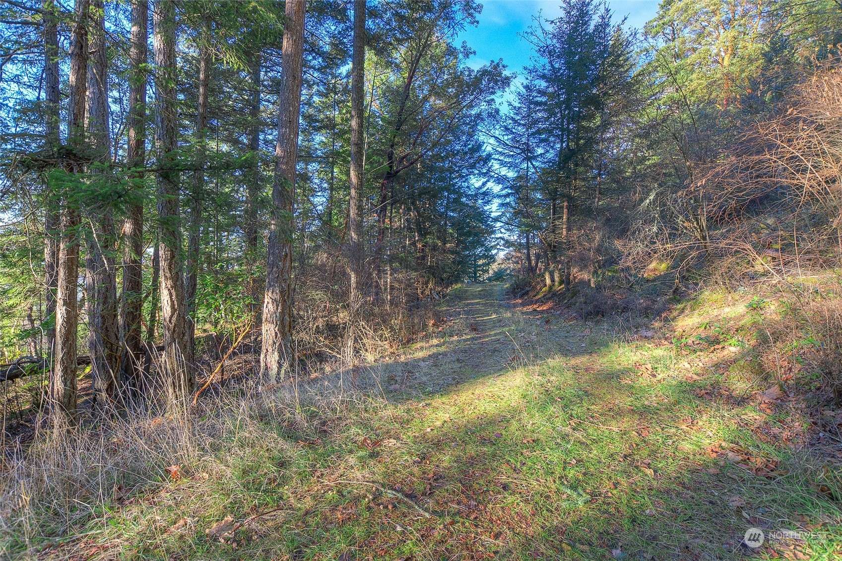 Orcas Island, WA 98245,0 Buck Mt.  #171833005000 RD