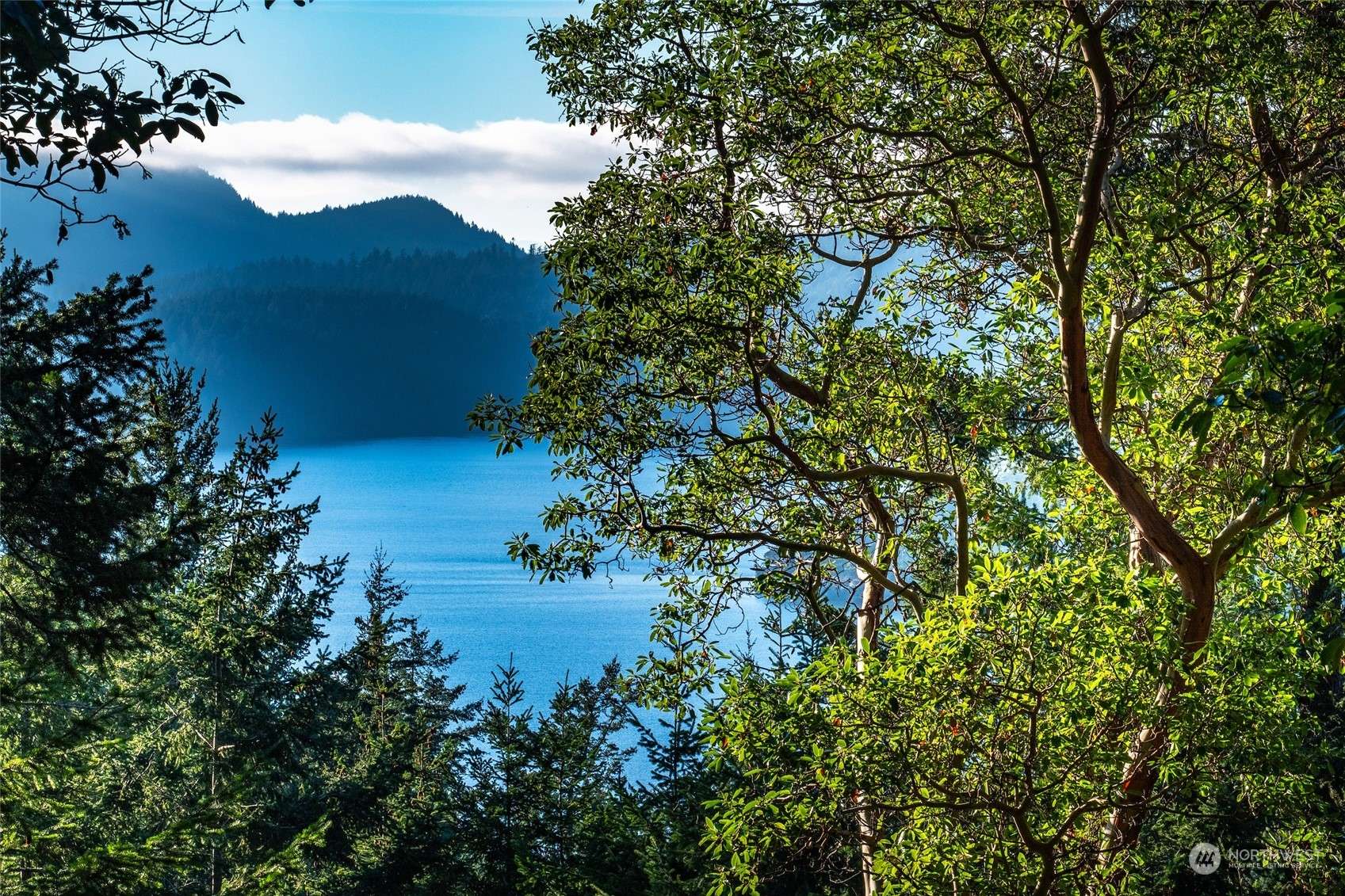 Orcas Island, WA 98245,0 Buck Mt.  #171833005000 RD