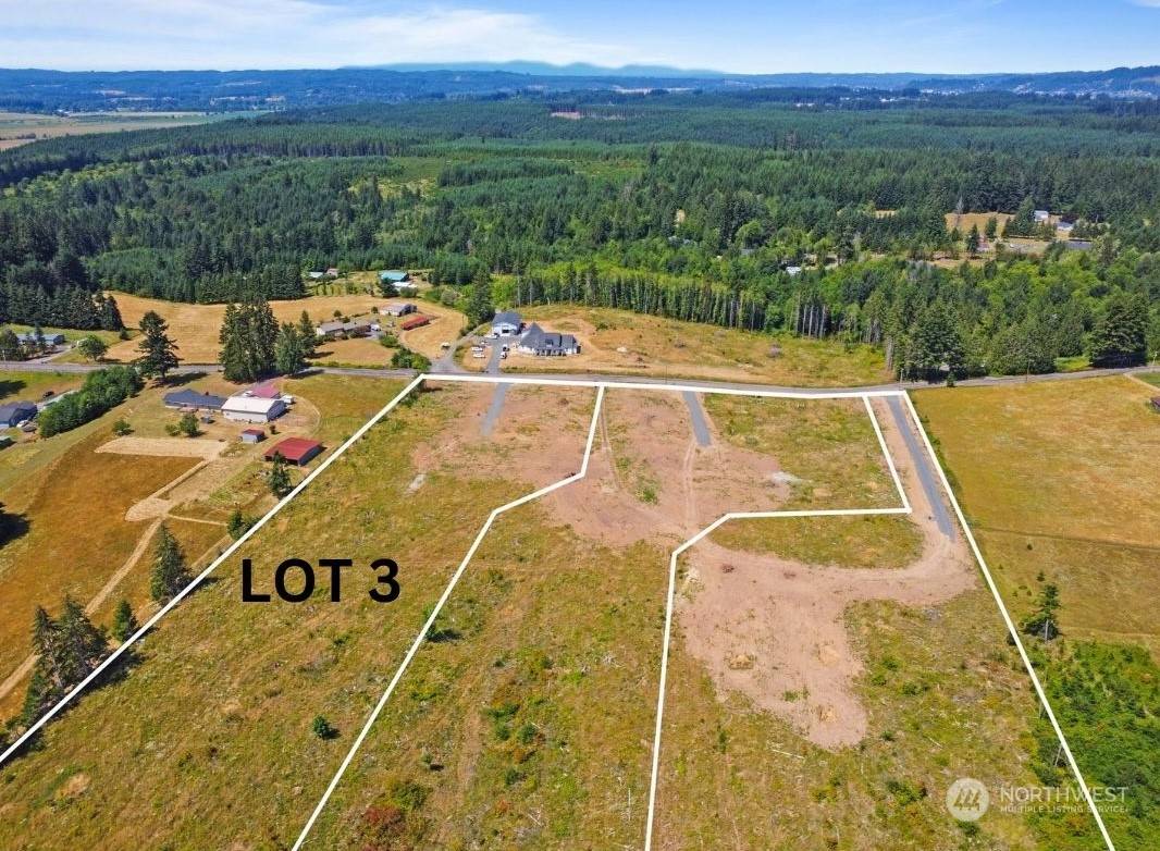 Adna, WA 98522,607 Brown RD E