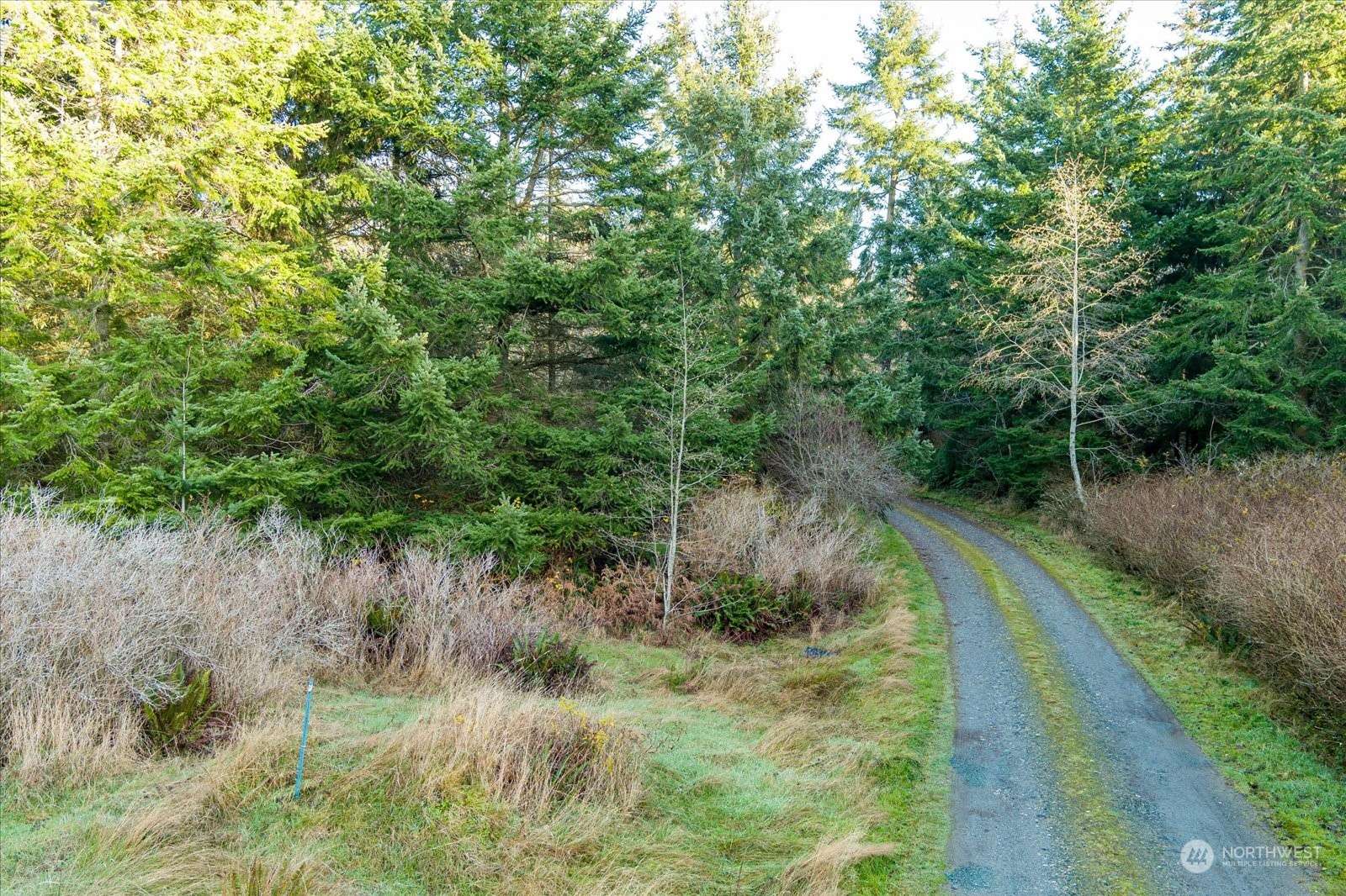 Coupeville, WA 98239,261 Aloha PL #Lot #2