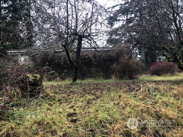 Mccleary, WA 98557,1271 Mox Chehalis Rd