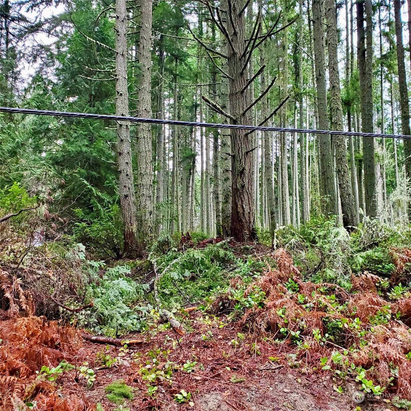 Anderson Island, WA 98303,11119 122nd Avenue Ct