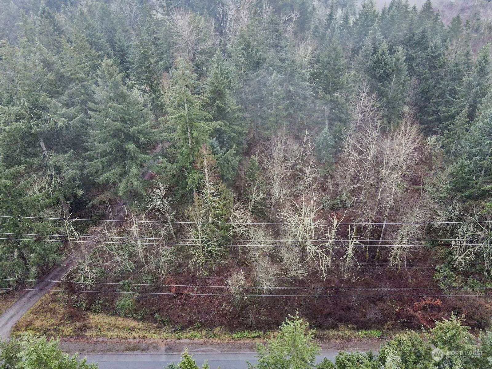 Bonney Lake, WA 98391,19012 160th ST E