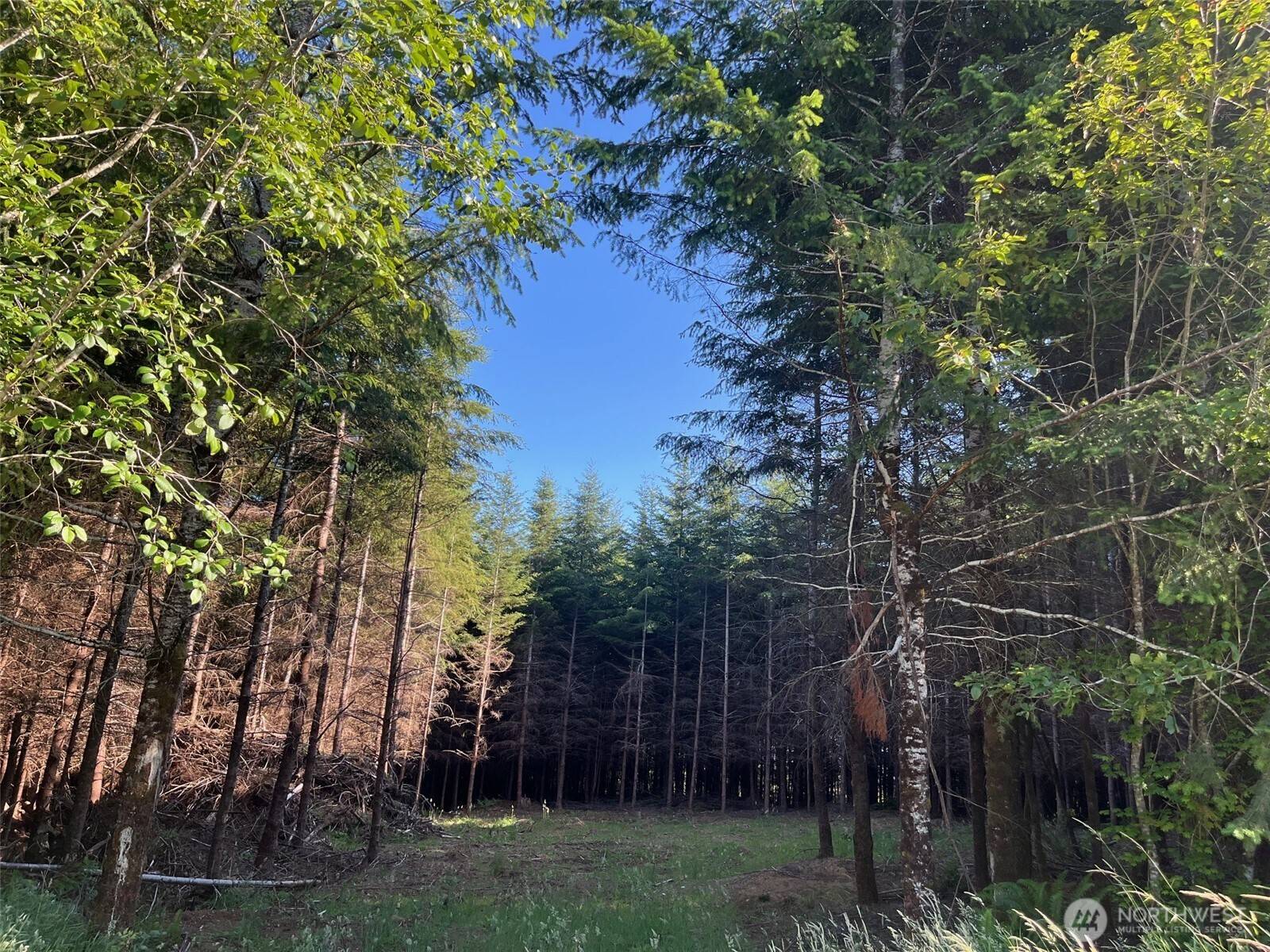 Montesano, WA 98563,7 Beaver Hill LN
