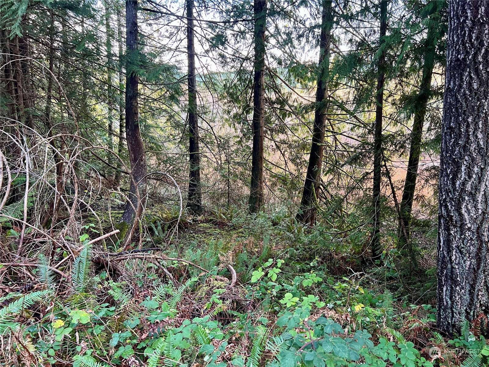 Brinnon, WA 98320,0 Trout LN