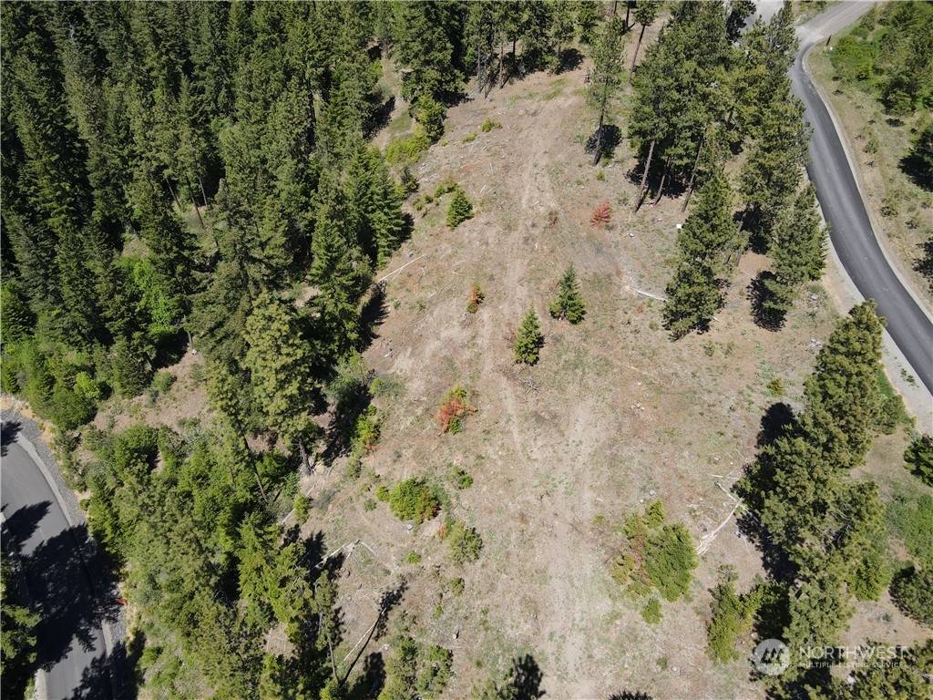 Cle Elum, WA 98922,11 Creekside (Timberline #11) RD