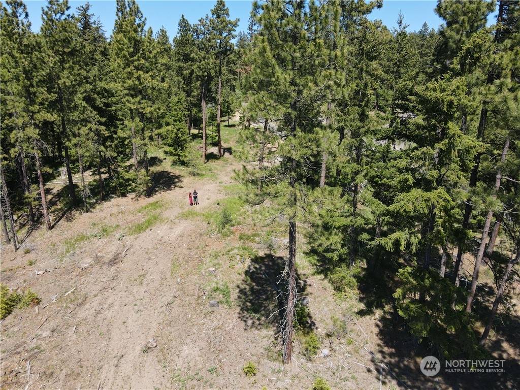 Cle Elum, WA 98922,11 Creekside (Timberline #11) RD