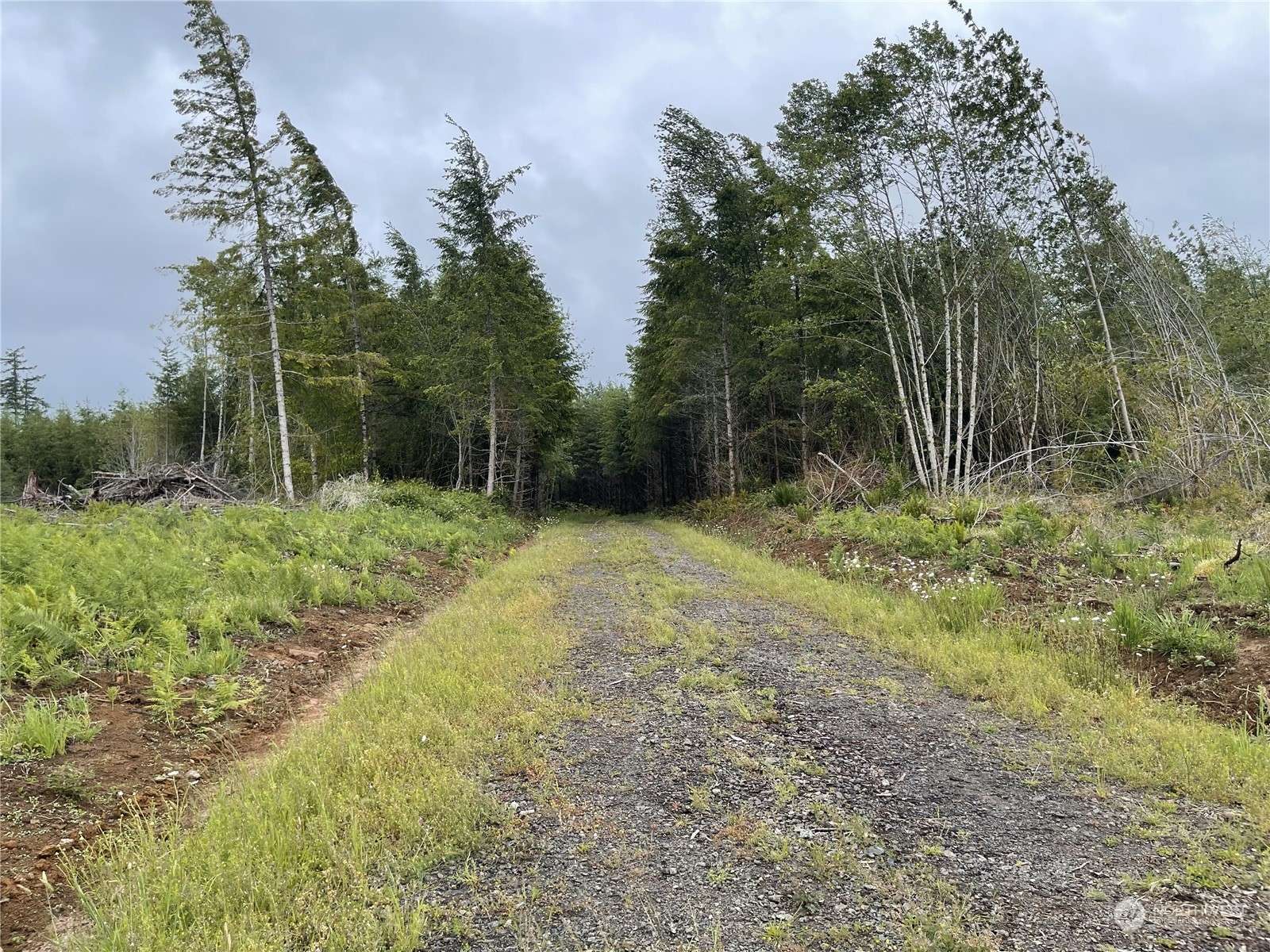 Onalaska, WA 98570,3 XX Centralia Alpha Road