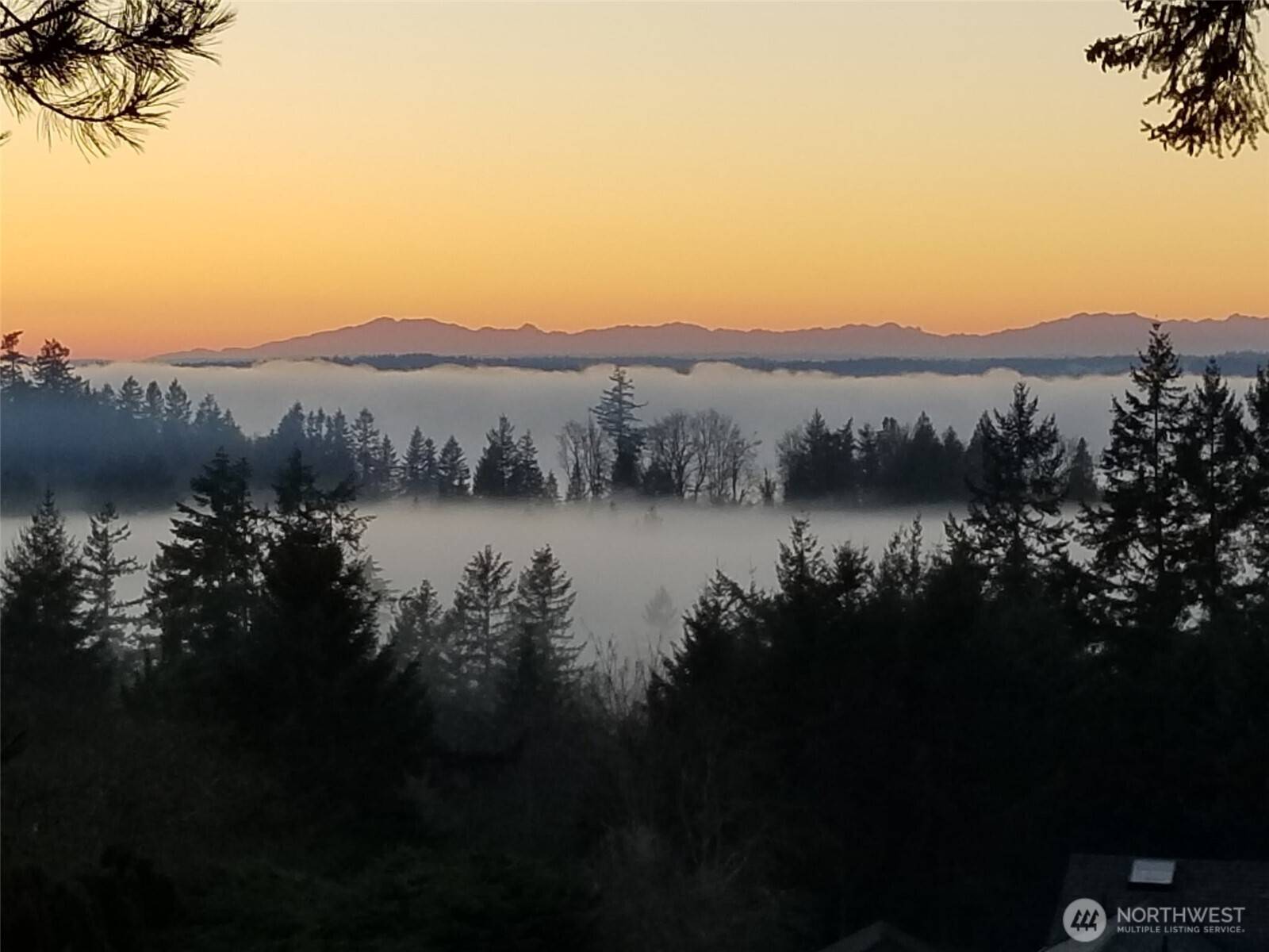 Gig Harbor, WA 98332,11109 66th Avenue Ct NW