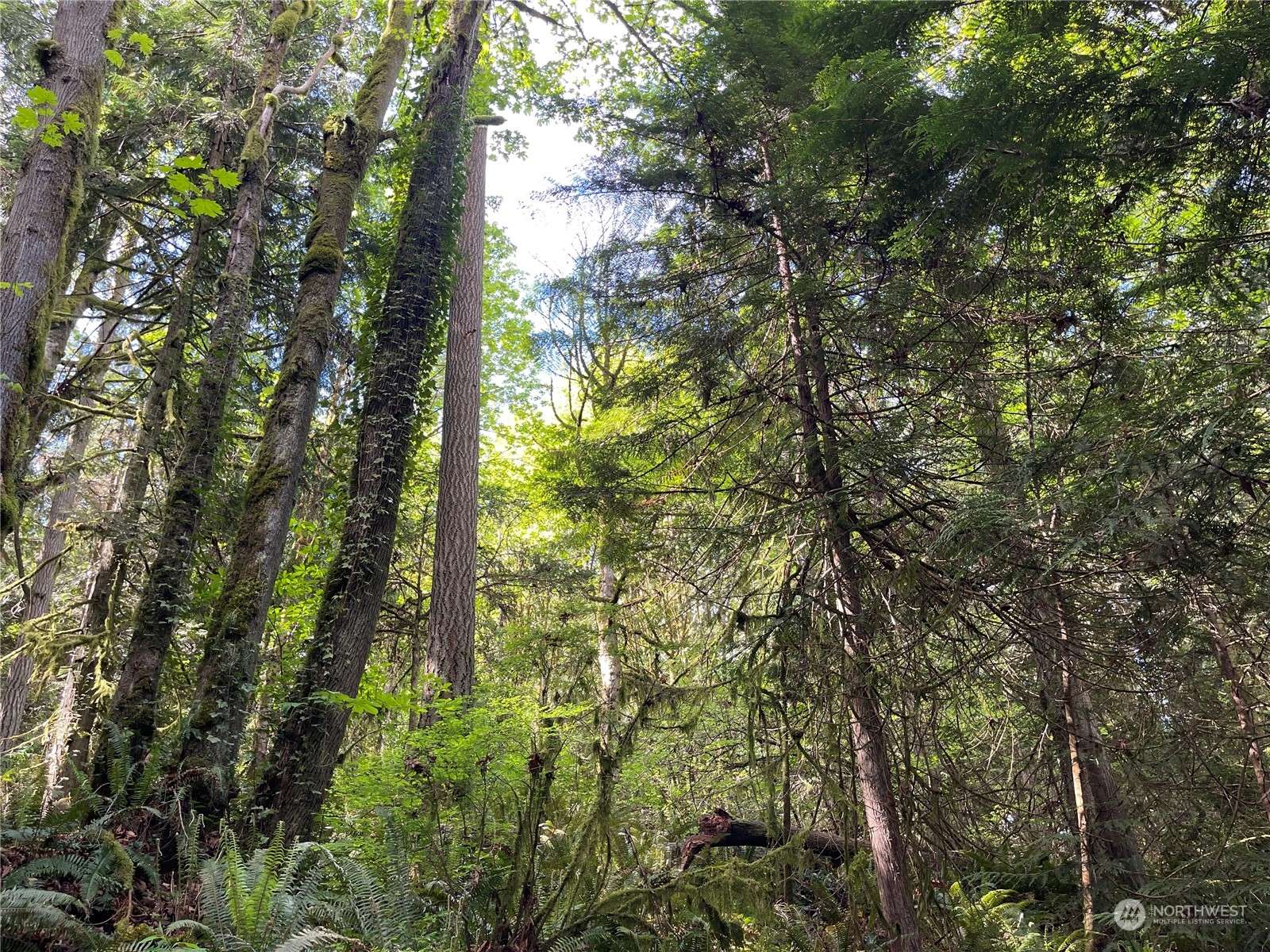 Bainbridge Island, WA 98110,0 Lots 2-7 NE Sanwick PL