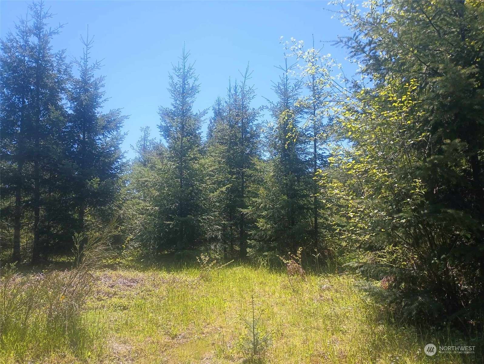 Randle, WA 98377,0 Lot 7 Buck DR