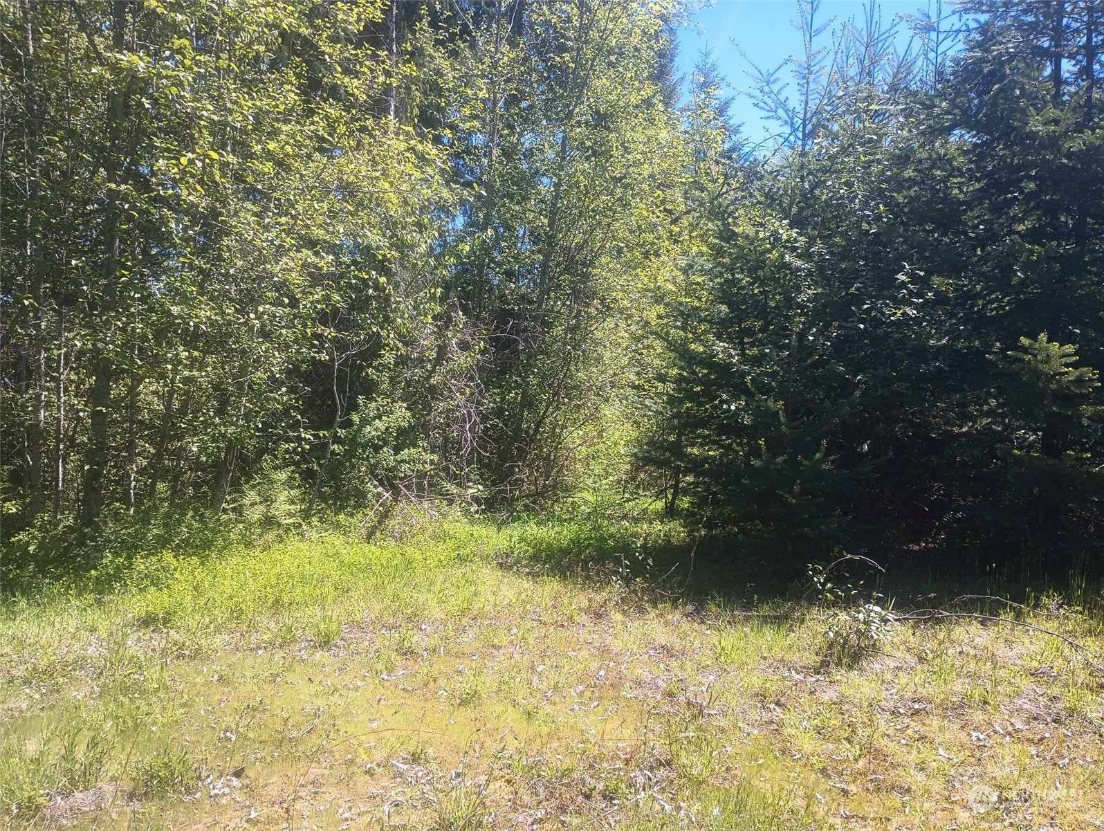 Randle, WA 98377,0 Lot 7 Buck DR