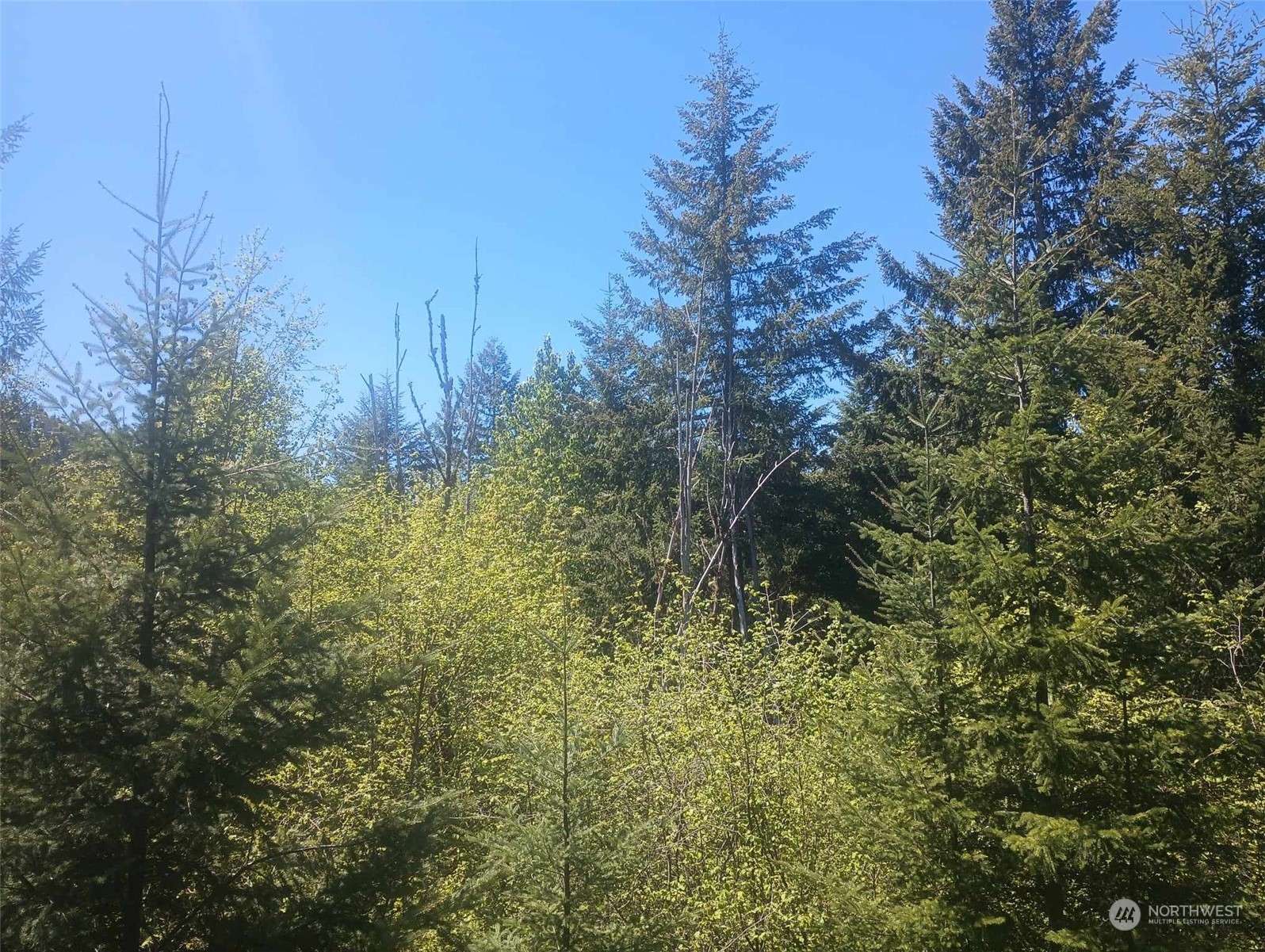 Randle, WA 98377,0 Lot 7 Buck DR