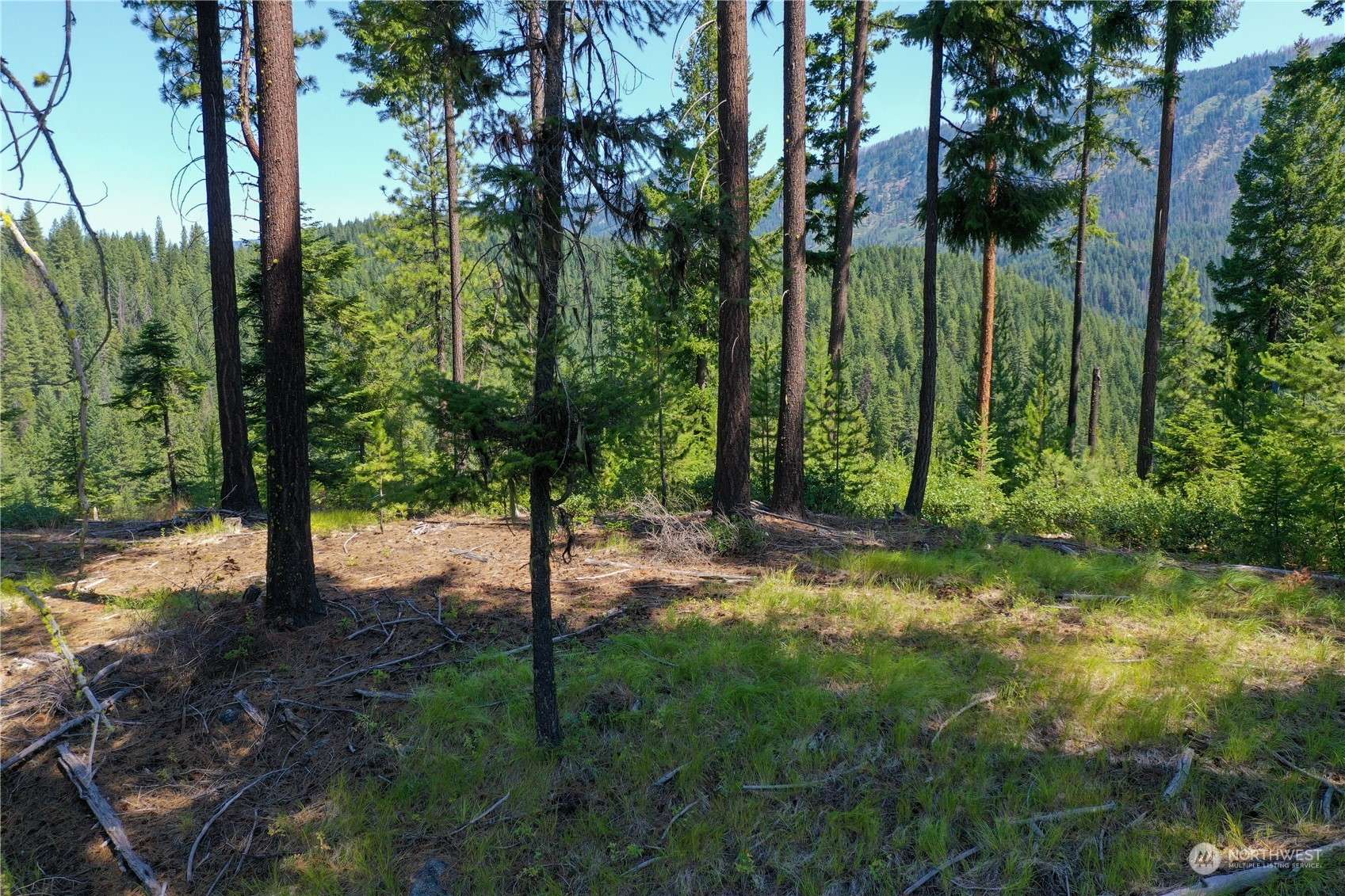 Leavenworth, WA 98826,0 Forest Service Rd