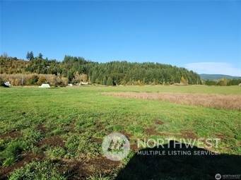 Mossyrock, WA 98564,220 W Mossyrock