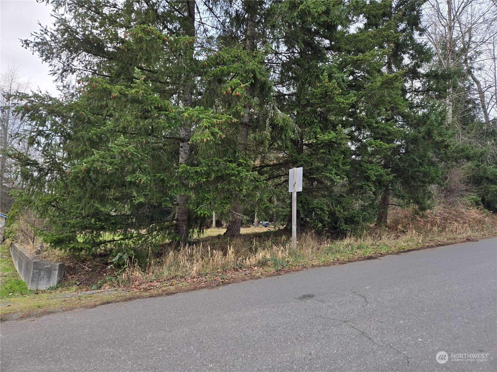 Kent, WA 98042,202 XX 140th AVE SE