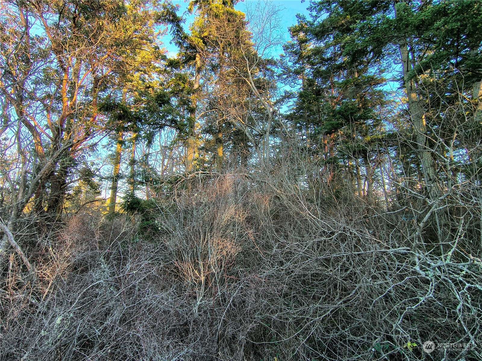 Port Townsend, WA 98368,0 Sherman