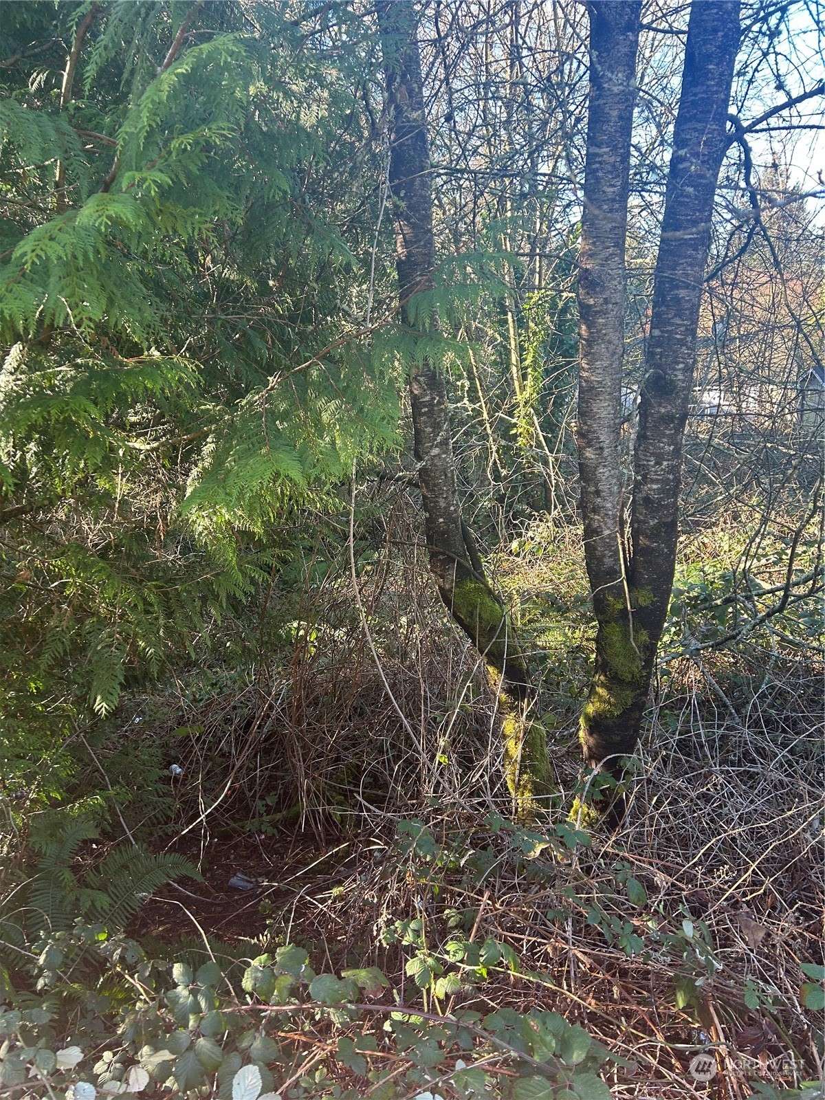 Poulsbo, WA 98370,0 Sea Vista
