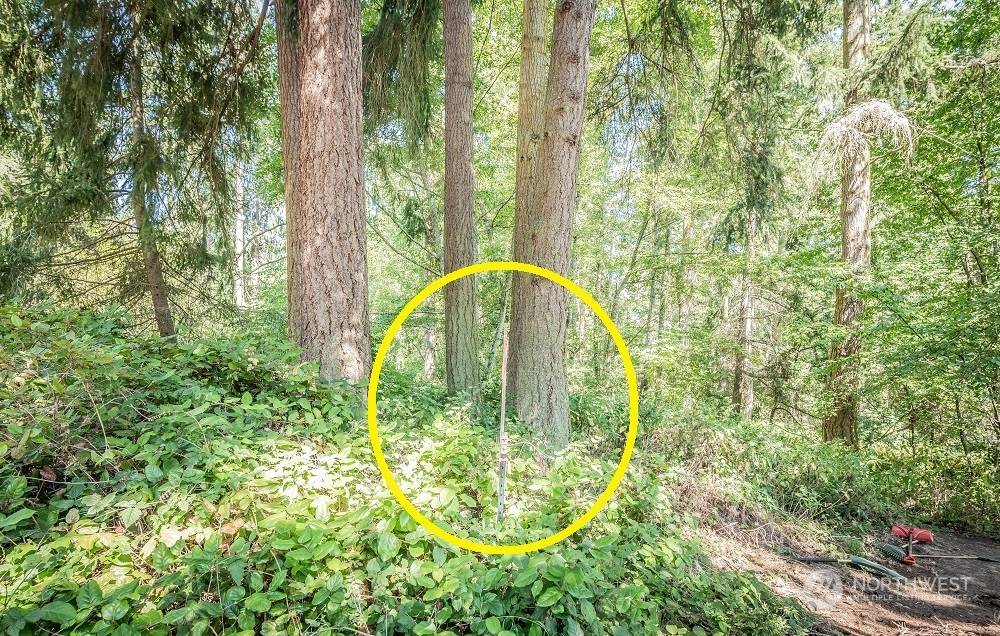 Port Townsend, WA 98368,28 Buckhorn PL
