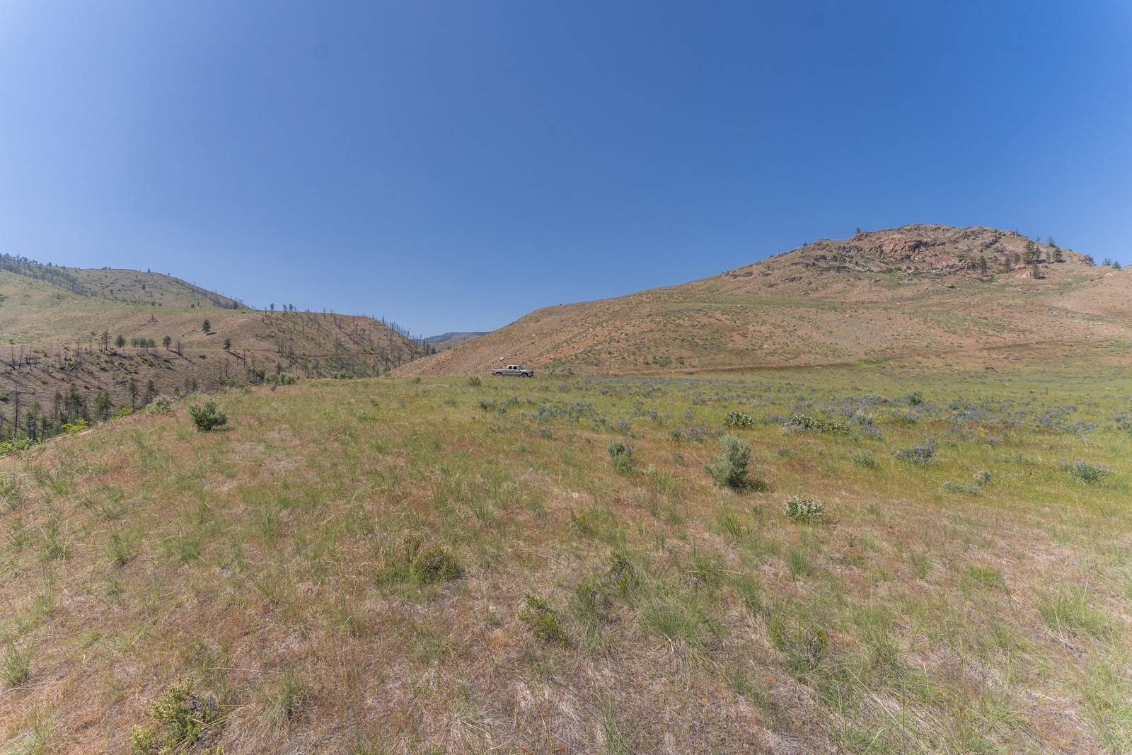 Chelan, WA 98816,2830 Antoine Creek (Lot B) RD
