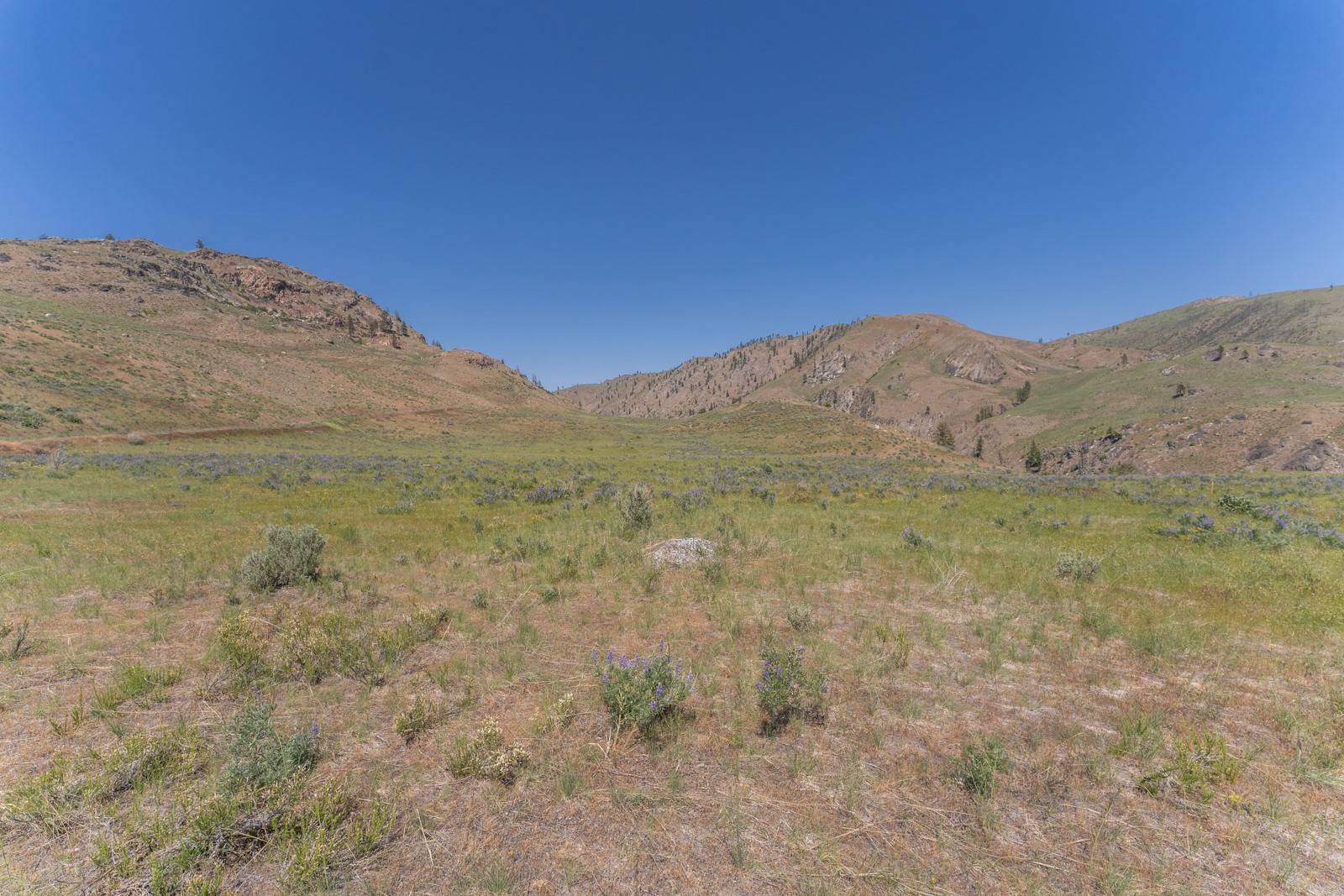 Chelan, WA 98816,2830 Antoine Creek (Lot C) RD