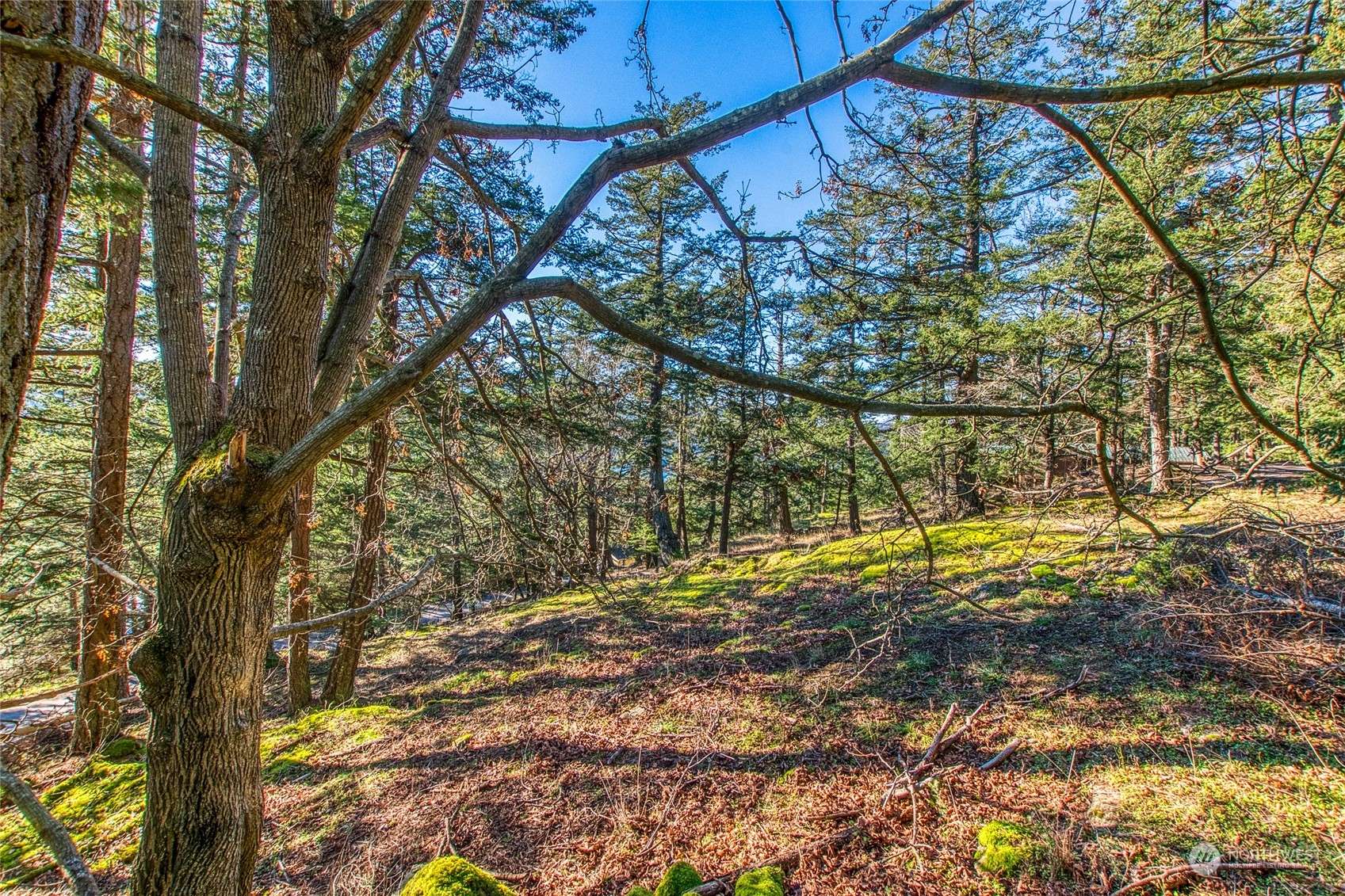 Orcas Island, WA 98245,0 Veneda TRL