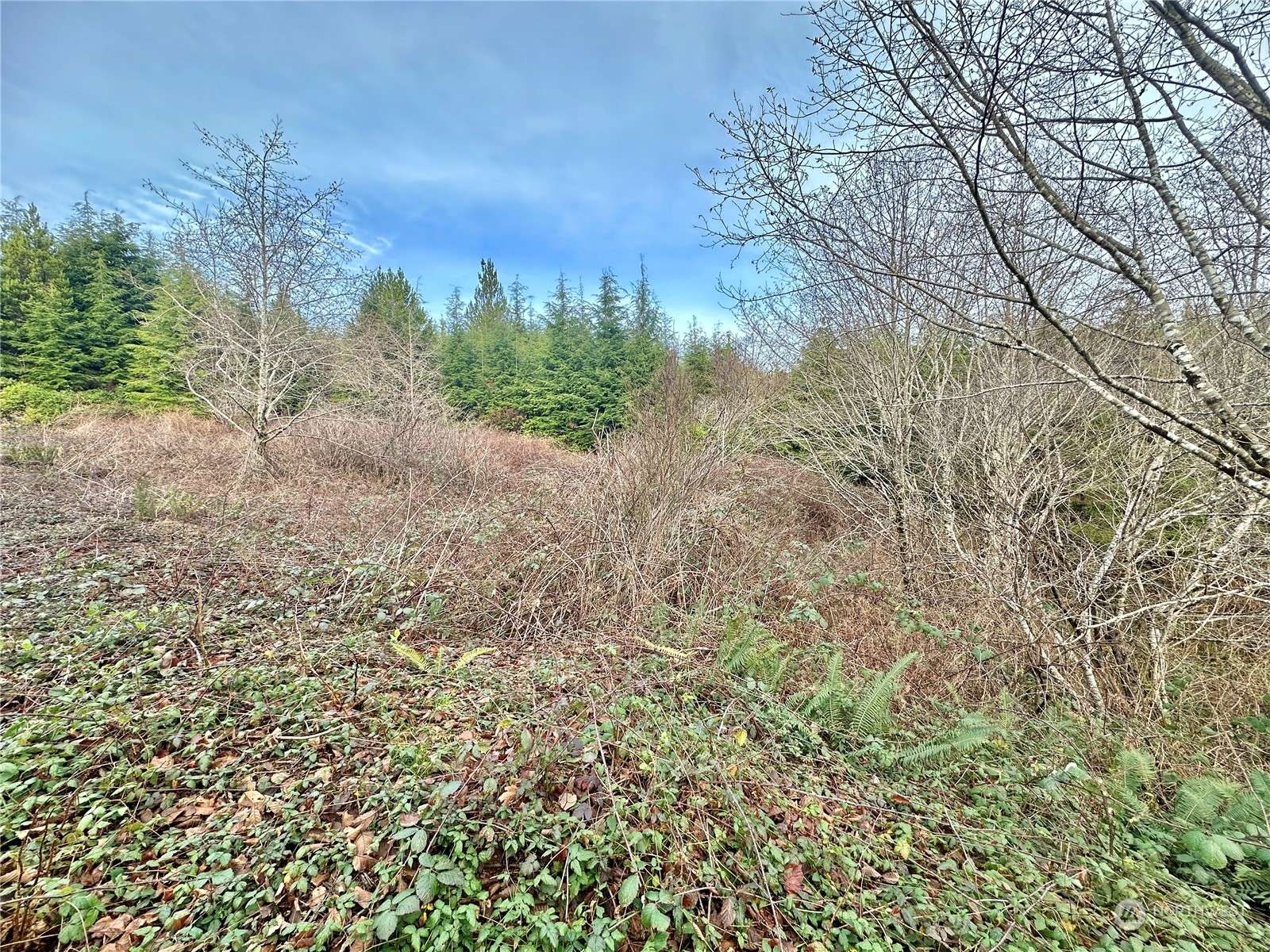 Hoquiam, WA 98550,0 Alpine LN