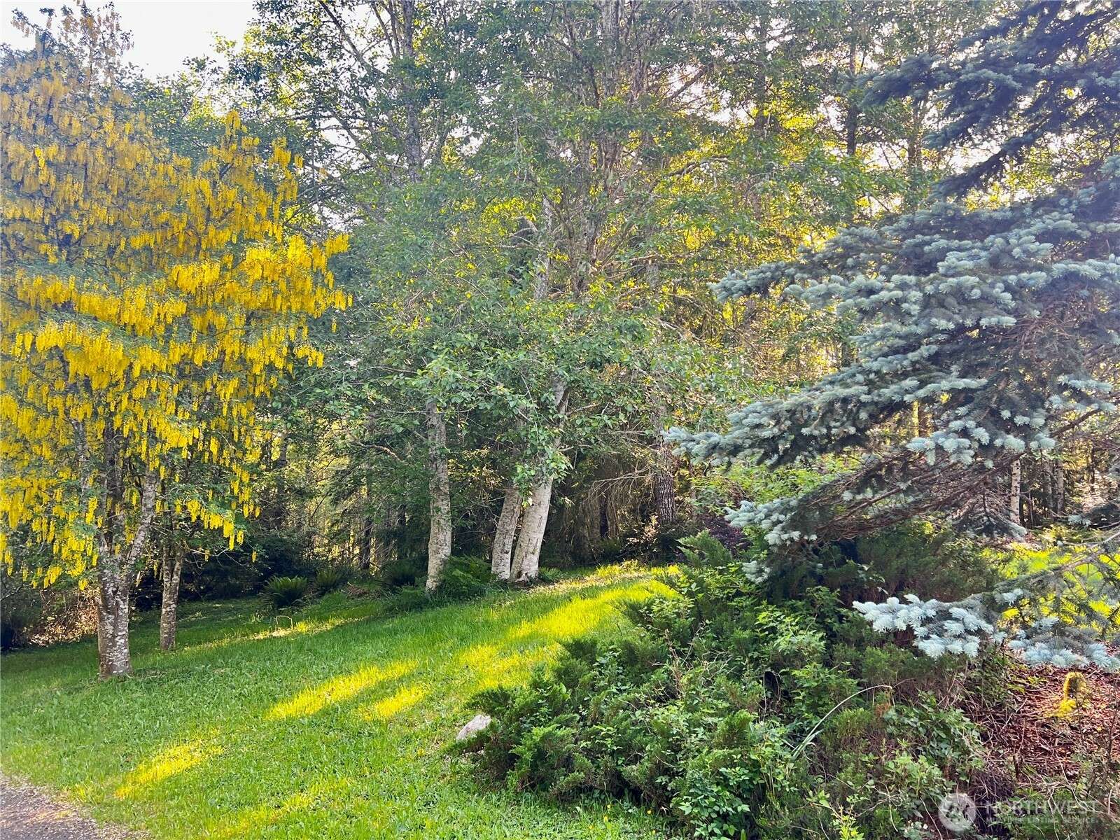 Seabeck, WA 98380,1488 W Wilderness LN