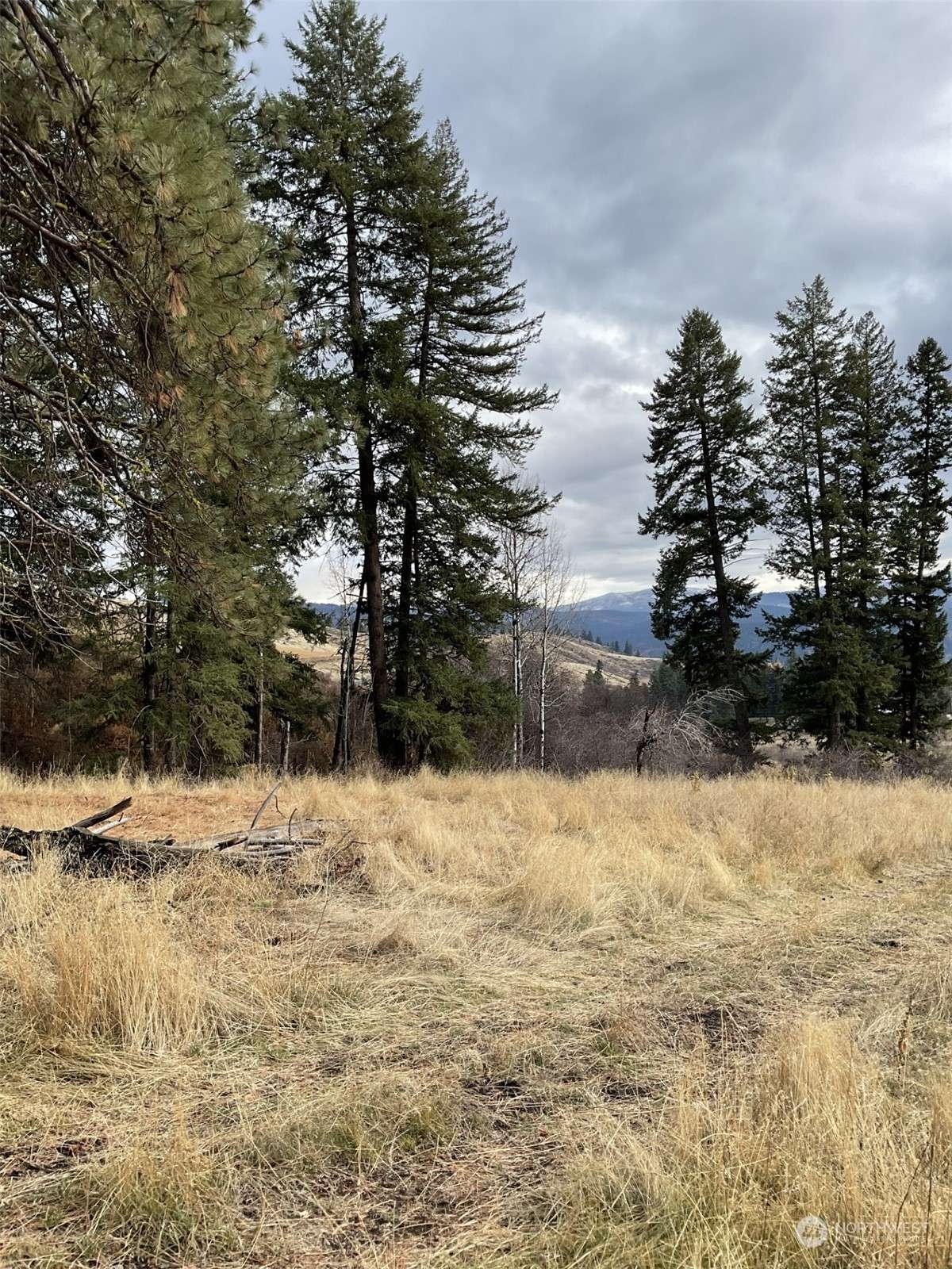 Curlew, WA 99118,275 Big Goosmus Creek RD