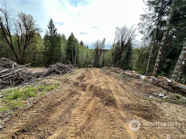 Centralia, WA 98579,0 Lincoln Creek RD