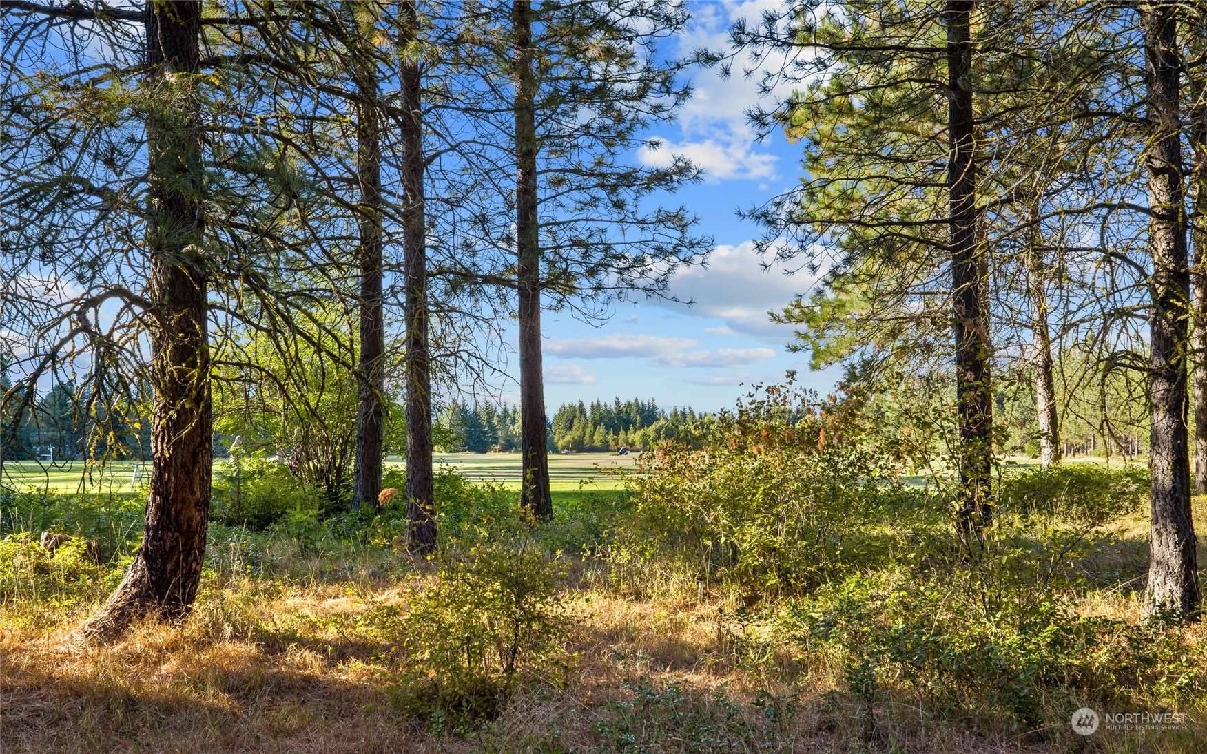 Cle Elum, WA 98922,2040 Ruby King LOOP