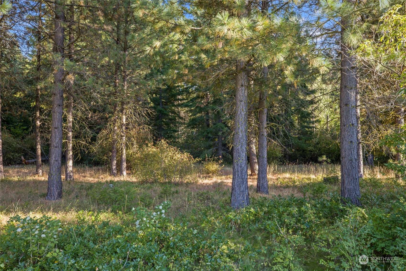 Cle Elum, WA 98922,2040 Ruby King LOOP