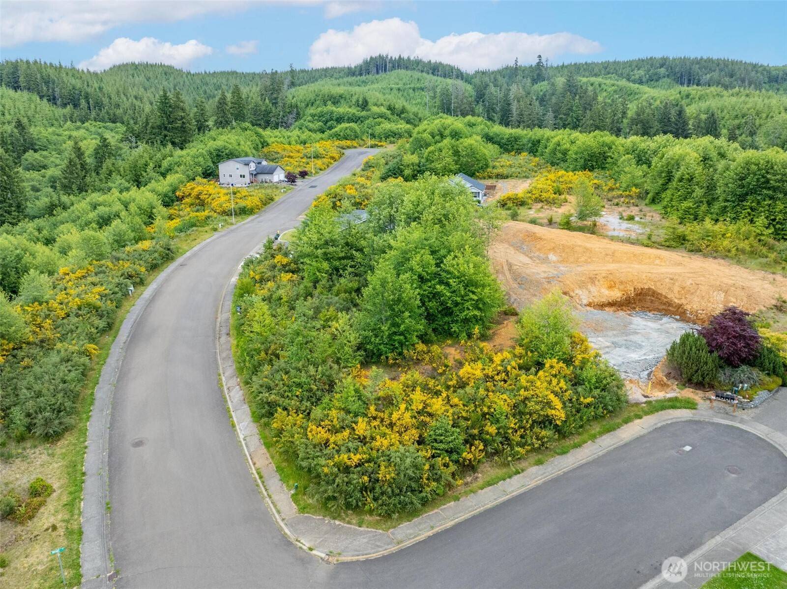 Hoquiam, WA 98550,0 Sanderling (Lot 2) DR